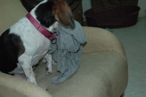 1380945099-3970705487