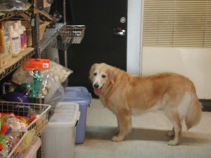 1380945107-1151424187