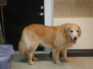 1380945108-2981004134