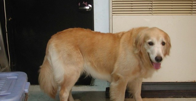 1380945108-2981004134