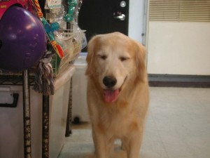 1380945108-3826290868