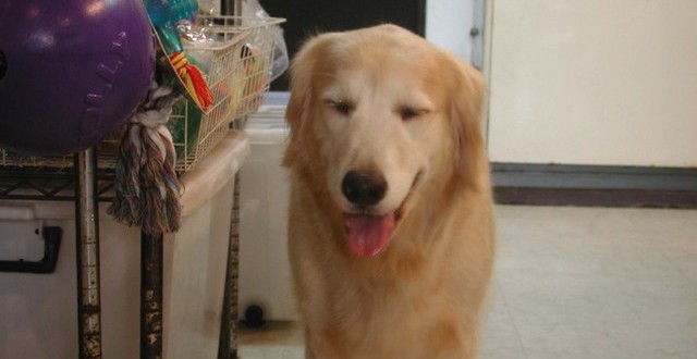 1380945108-3826290868