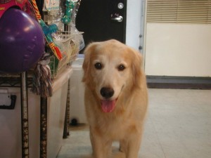 1380945108-4056414868