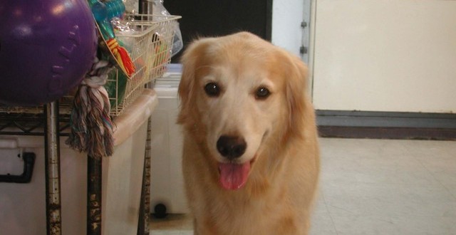 1380945108-4056414868