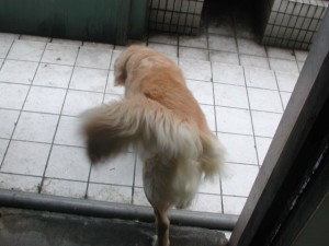 1380945109-1053393006