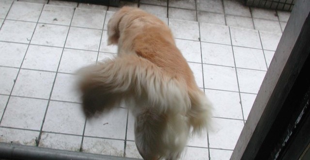 1380945109-1053393006