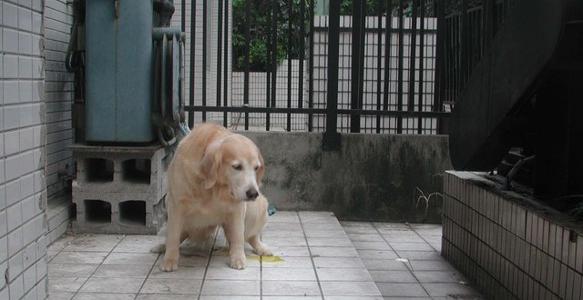 1380945109-1986436072