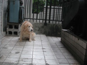 1380945109-924922387