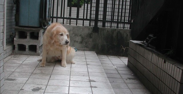 1380945109-924922387