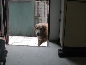 1380945110-1144861814