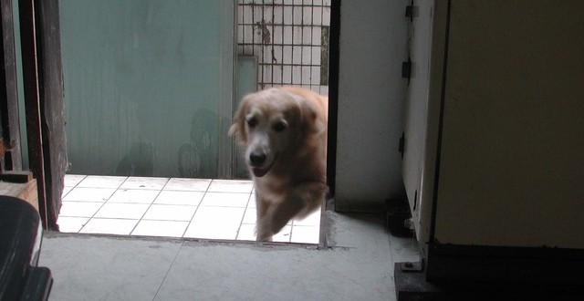 1380945110-1144861814