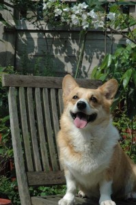 1380945111-1653486531