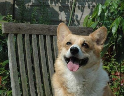 1380945111-1653486531