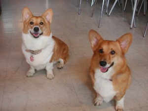 1380945111-2215663275