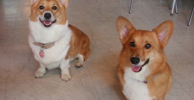 1380945111-2215663275