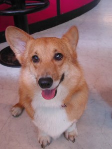 1380945112-2346979536