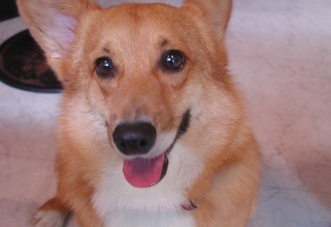 1380945112-2346979536