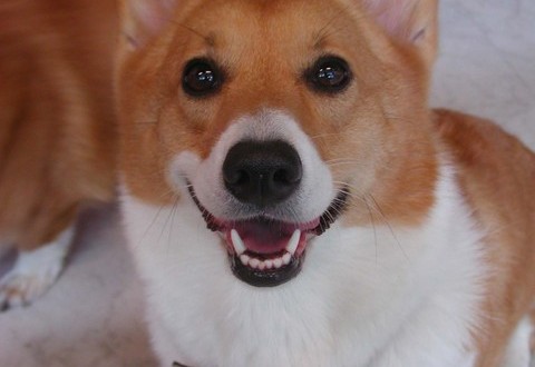 1380945112-4202799496