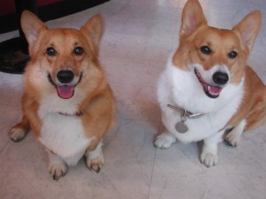 1380945113-1155682717