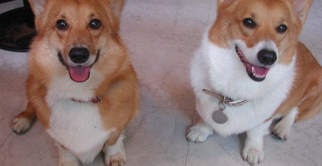 1380945113-1155682717