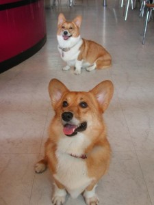 1380945113-3265690051