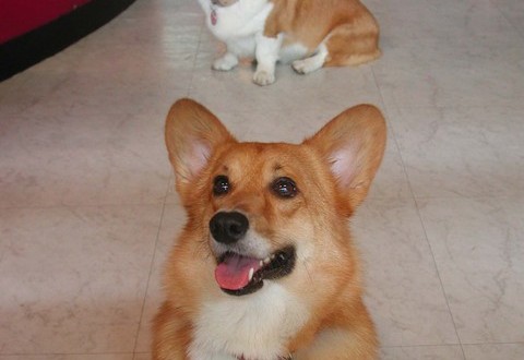 1380945113-3265690051