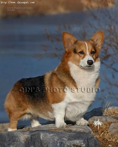 1380945114-1738641248