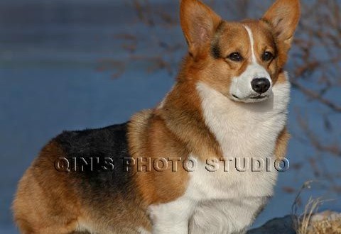 1380945114-1738641248