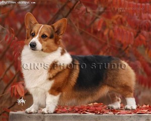 1380945114-980747987