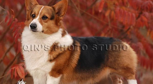 1380945114-980747987