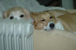 1380945115-4014961955