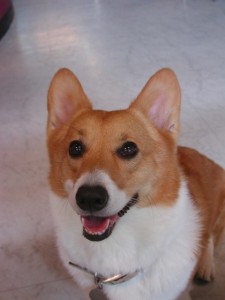 1380945115-724356882