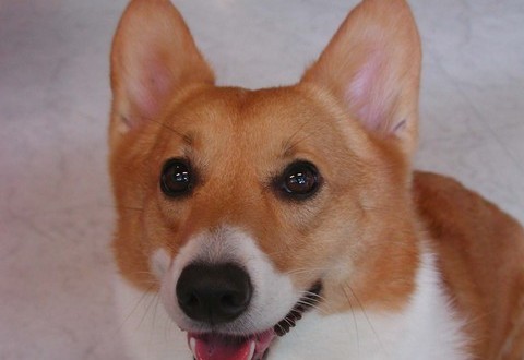 1380945115-724356882