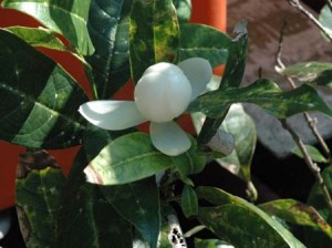 1380945116-298560442