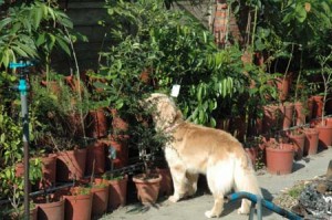 1380945116-3041645545