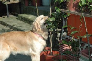 1380945117-2530226760