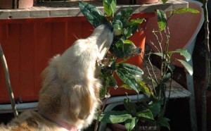 1380945117-325905450