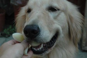 1380945118-1354188434