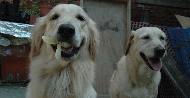 1380945118-2266272469