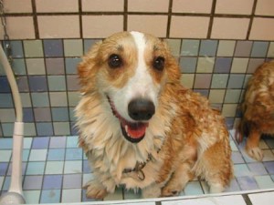 1380945120-2940344030