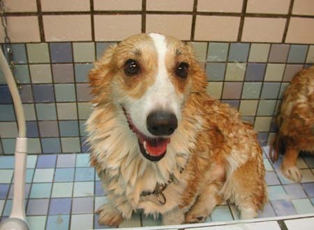 1380945120-2940344030