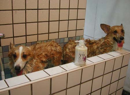 1380945120-583514287