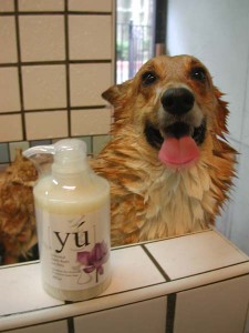 1380945121-3487866089