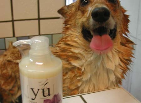 1380945121-3487866089