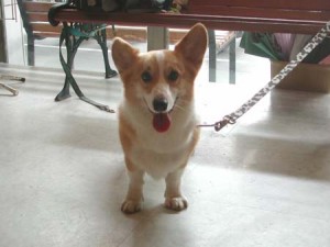 1380945122-288614509