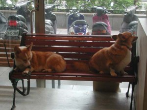 1380945122-458012024