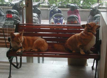 1380945122-458012024