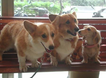 1380945123-1576161899