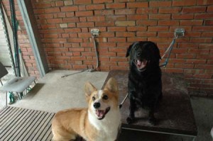 1380945124-2168892943