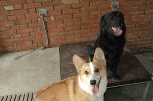 1380945124-3298783864